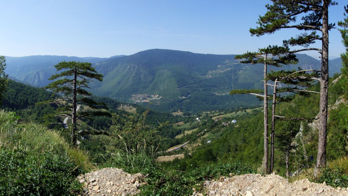 Durmitor, Cañón Tara, Montenegro / Foto: Pudelek [CC BY-SA 3.0] Wikimedia Commons