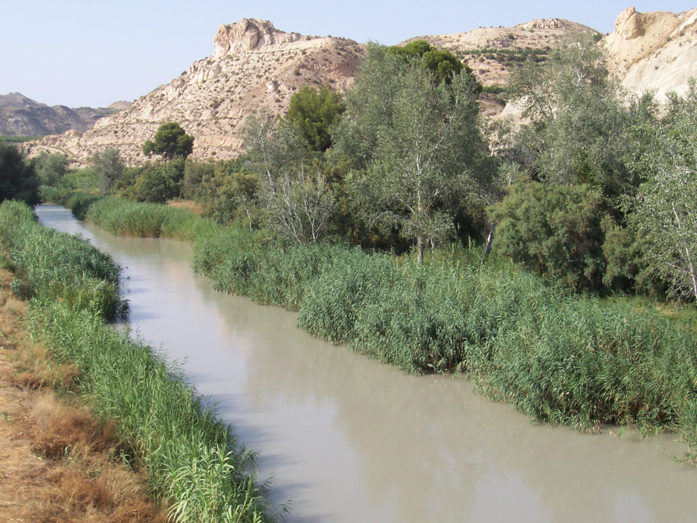 Río Segura a su paso por Archena, Murcia / Foto: Juan José Abenza Moreno [CC BY-SA 3.0] Wikimedia Commons