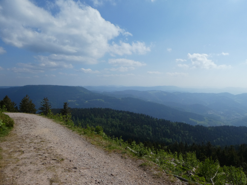 Westweg en la Selva Negra, Alemania / Foto: AsleifThorbaldson (pixabay)