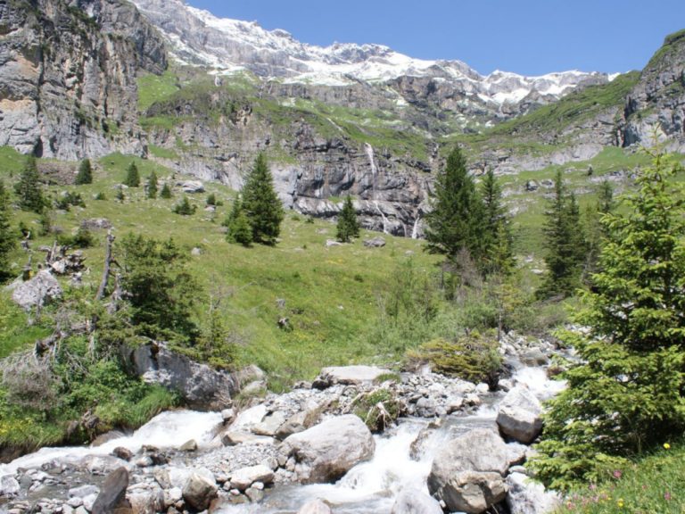 La Alpine Pass Route en Suiza, Via Alpina 1