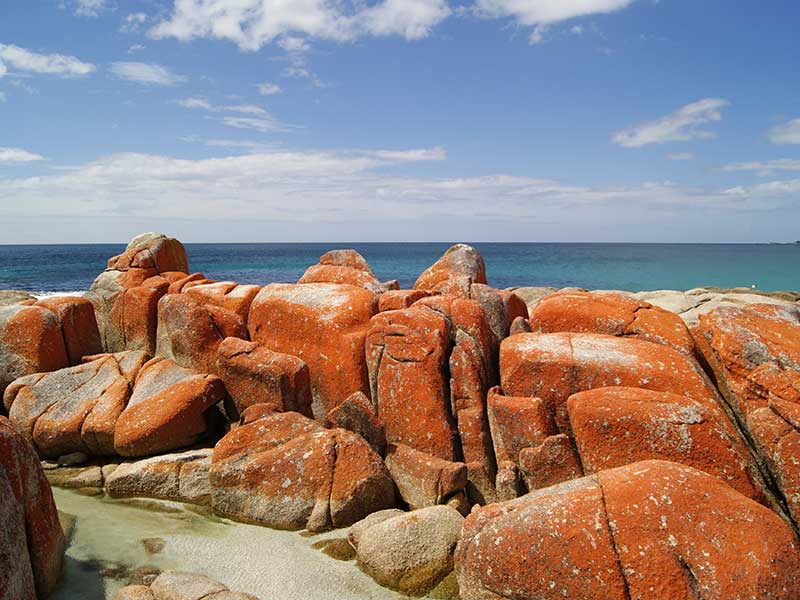 Bahia del Fuego en Tasmania / Foto: Einszweifrei (pixabay)
