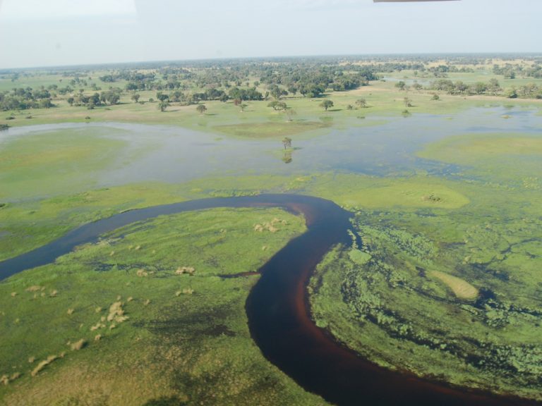 El delta del Okavango en botswana