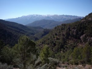 Parque natural de las Sierras de Cazorla, Segura y Las Villas / Foto: Manuel Francisco Parrilla Cabezas. [CC BY-SA 4.0] Wikimedia Commons