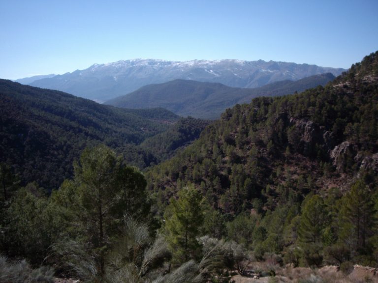 Parque natural de las Sierras de Cazorla, Segura y Las Villas