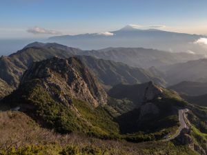 Parque Nacional de Garajonay en La Gomera / Foto: Michal Klajban [CC BY-SA 4.0] Wikimedia Commons