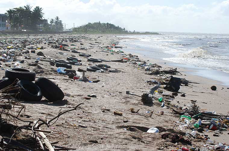 El problema del plástico en el medio ambiente / Foto: Nils Ally (CC-BY-3.0)