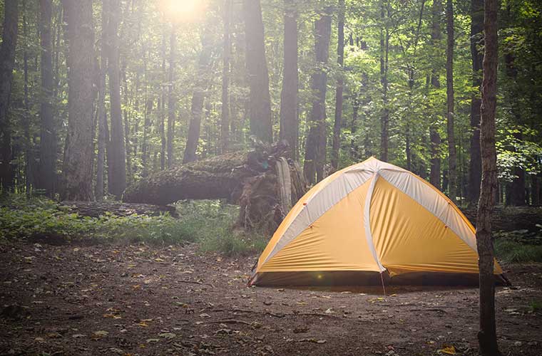 Equipo de acampada que querrás llevar contigo / Foto: Michael Guite