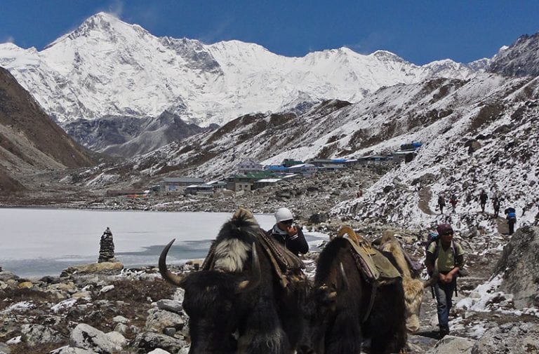 Trekking en Nepal: Valle de Gokyo y Campo Base del Everest