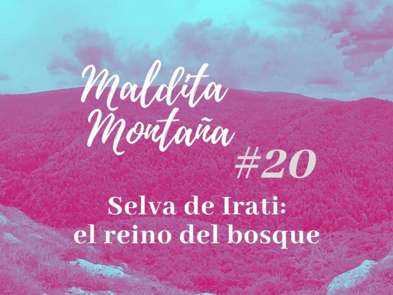 ‘Maldita montaña’ #20: Selva de Irati: el reino del bosque