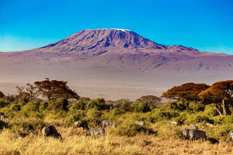 Tanzania: Kilimanjaro, safaris, parques nacionales y naturaleza por doquier