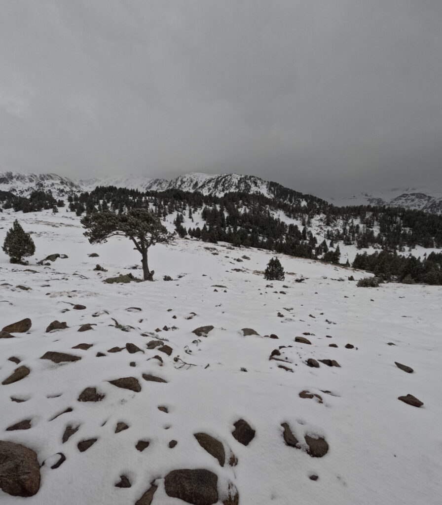 De Berga a Pica d'Estats en invernal / Foto: Pau Calado