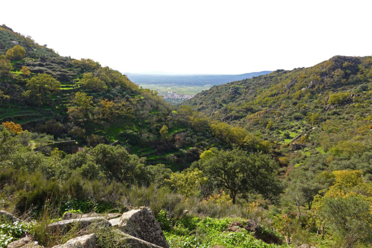 Sierra de Montánchez (Cáceres). Ruta circular por el Castañar y la Garganta de los Molinos.