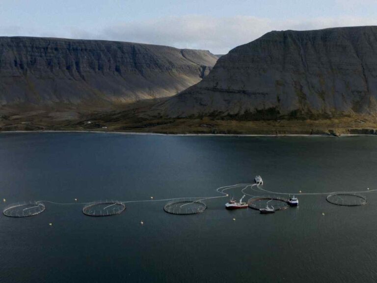 «Laxaþjóð – A Salmon Nation», un documental sobre la lucha para proteger las aguas de Islandia y el salmón salvaje frente a las piscifactorías industriales.